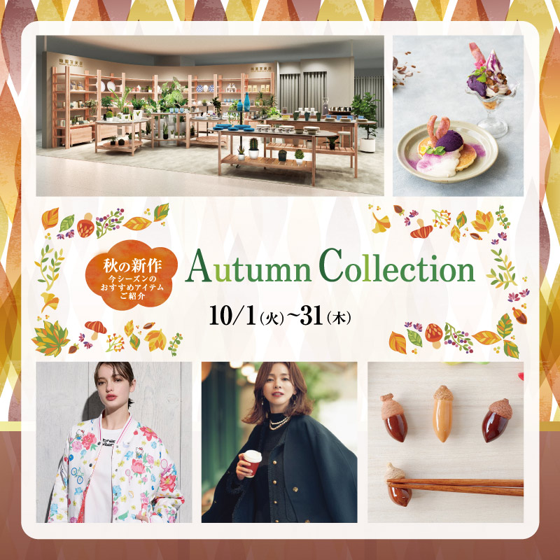 Autumn Collection