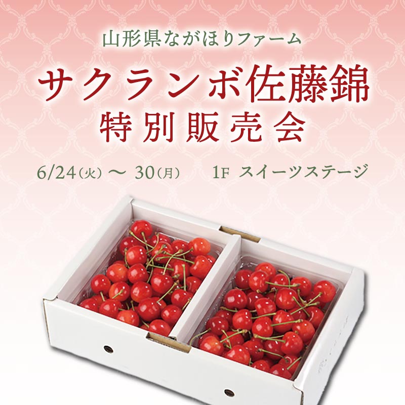 サクランボ佐藤錦　特別販売会