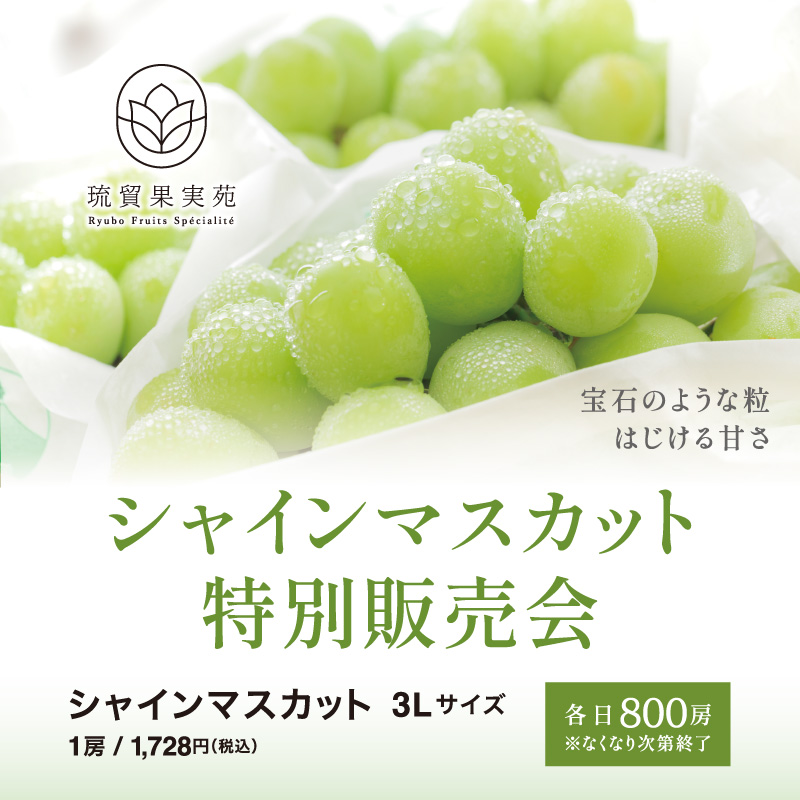 琉貿果実苑スペシャル企画 シャインマスカット特別販売会
