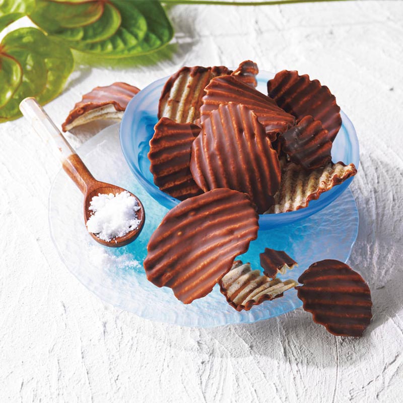 新ブランドのご紹介