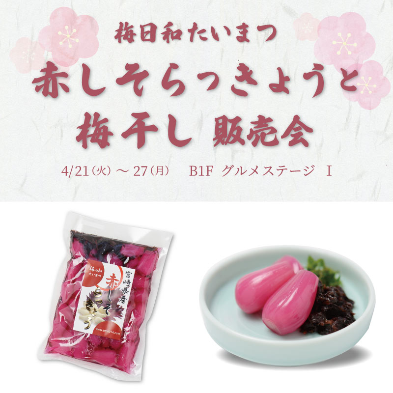 梅日和 たいまつ　赤しそらっきょうと梅干し販売会