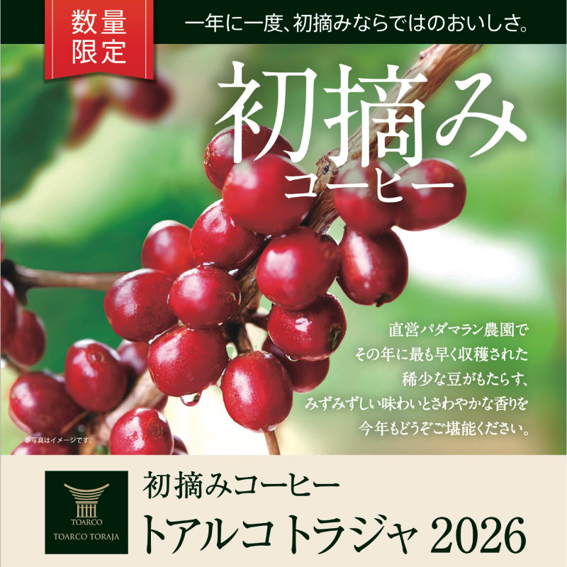 初摘みコーヒートラジャ 2026 ご予約承り